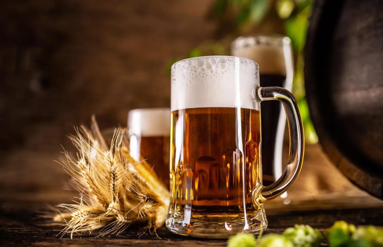 Beer Brands